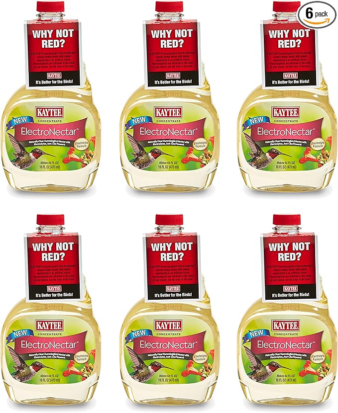 Kaytee ElectroNectar Concentrate for Hummingbirds 16 oz - Pack of 6