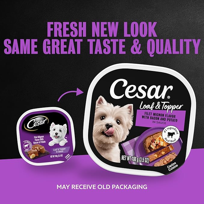 Cesar Loaf & Topper in Sauce Wet Dog Food Filet Mignon Flavor with Bacon & Potato, 3.5 oz. Easy Peel Trays, 24 Count (Pack of 1)