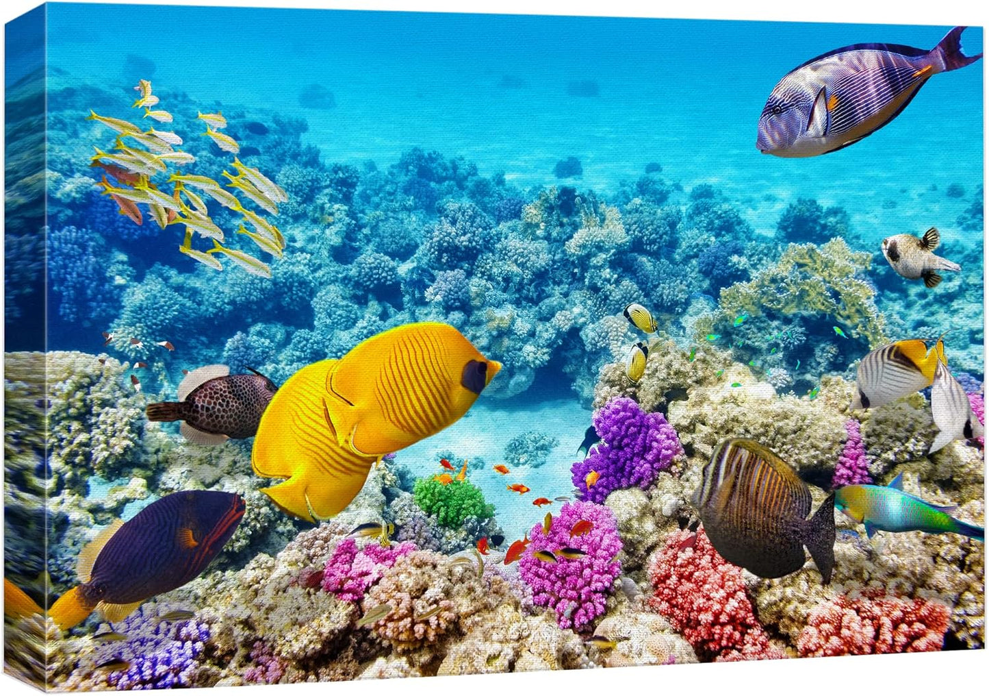 wall26 Canvas Print Wall Art Tropical Underwater Ocean Sea Fish Reef Nature Animals Photography Realism Rustic Scenic Landscape Wilderness Earth Colorful for Living Room, Bedroom, Office - 32"x48"