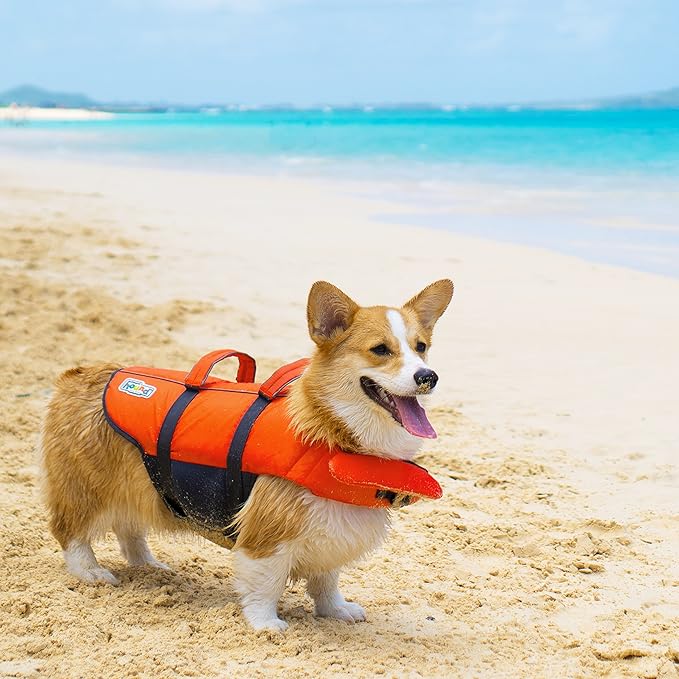 Outward Hound Granby Splash Orange Dog Life Jacket, Large