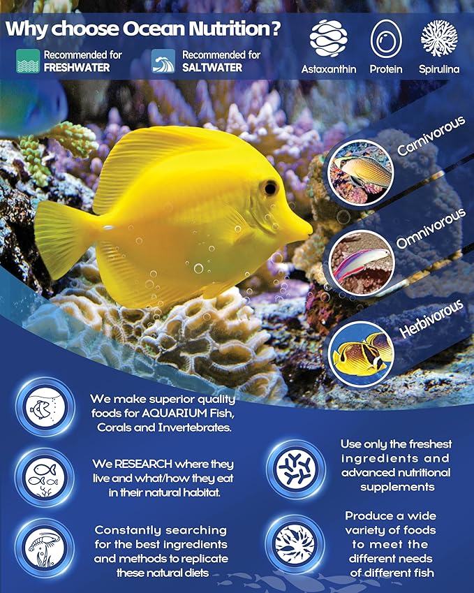 Ocean Nutrition Formula Two Pellets - Fish Food for Herbivorous & Omnivorous Marine Tropical Fish, High Protein(40%) - 3.5 oz (100 g) Small Pellets