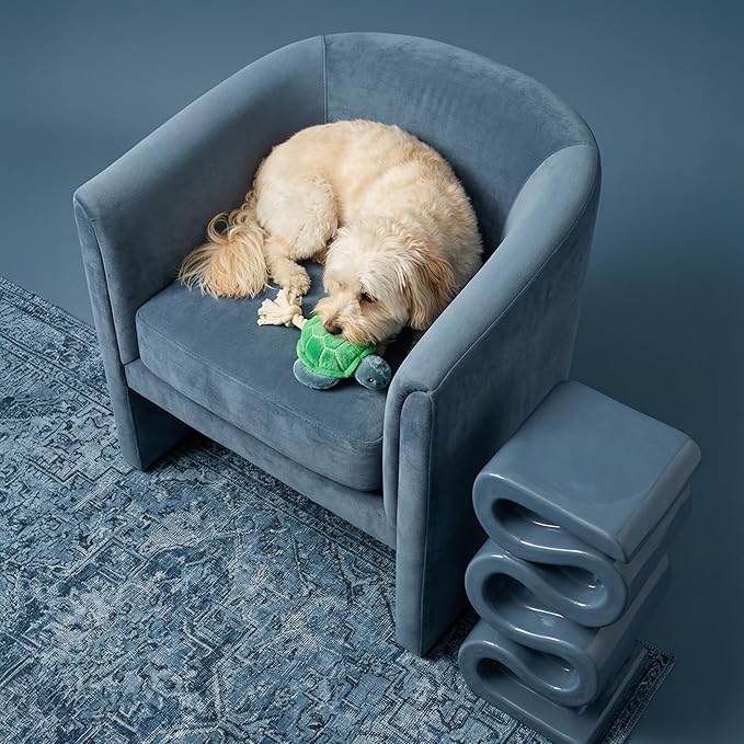 Dog Toys | Plush Turtle Stuffed Animal for Dogs | Eco Friendly Medium Dog Toy