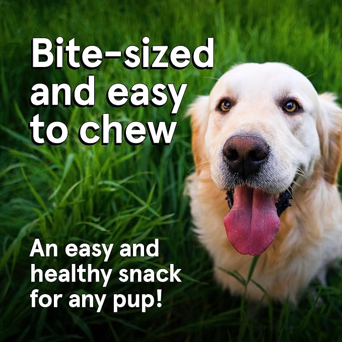 TRMC Real Meat Dog Treats - Three 12oz Bag of Bite-Sized Air-Dried Venison Jerky for Dogs - Grain-Free Jerky Dog Treats Made up of 95% Free-Range, Grass Fed Venison - All-Natural Dog Treats