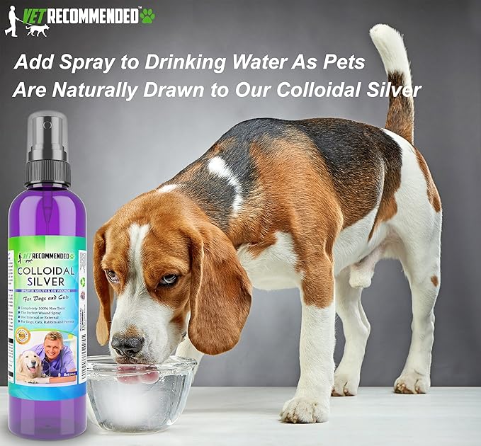 Vet Recommended Colloidal Silver for Dogs and Cats, Colloidal Silver Spray that Works as Natural Hot Spot Solution for Dogs - Made in USA (8oz/240ml)