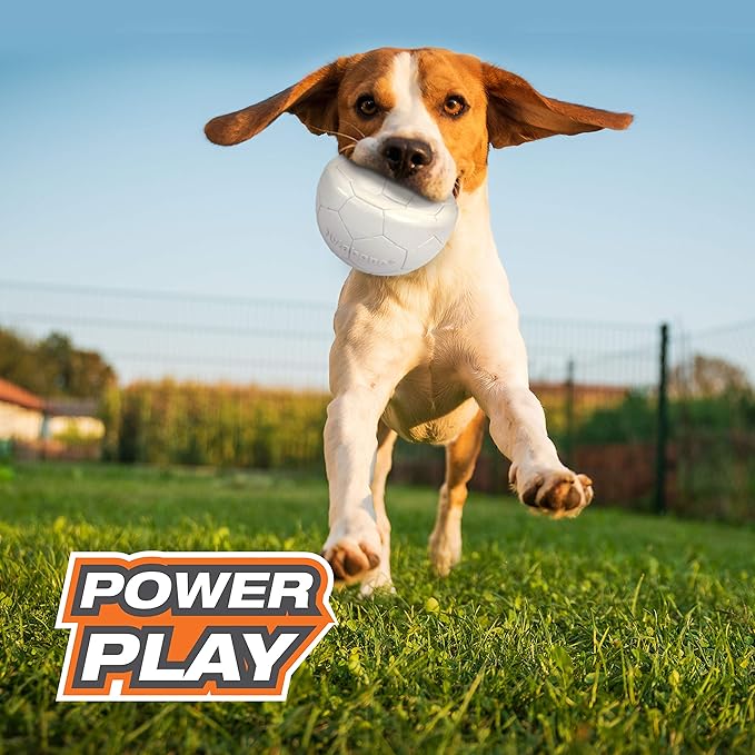 Nylabone Power Play Gripz Felt Soccer Ball Rubber Fetch Toy, Squeaky Ball for Dogs, Medium (1 Count)