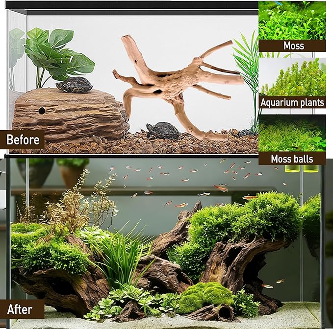 Kaiyuan Dynasty 3Pcs 8-10" Natural Aquarium Spiderwood for Reptile Terrariums Spider Wood Branch for Aquatic Plants Fish Tank Decorations