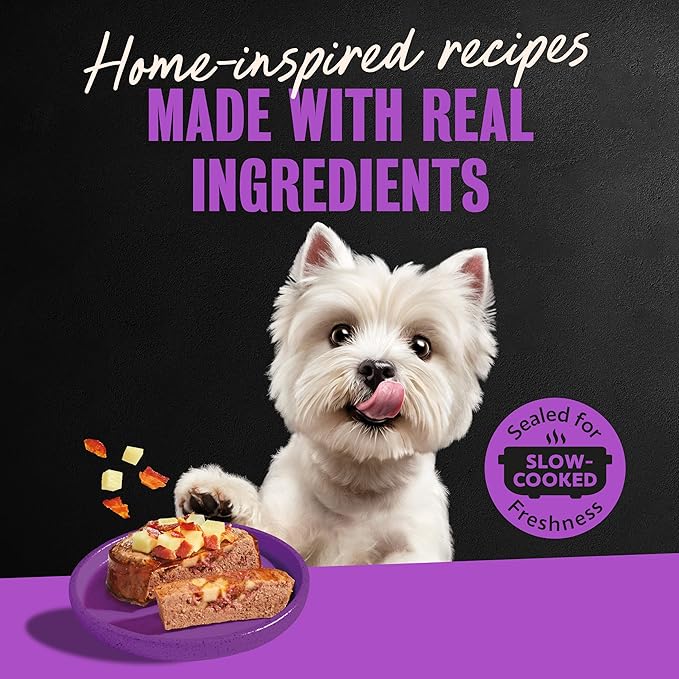 Cesar Loaf & Topper in Sauce Wet Dog Food Filet Mignon Flavor with Bacon & Potato, 3.5 oz. Easy Peel Trays, 24 Count (Pack of 1)