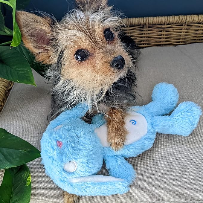 Huxley & Kent Slappies for Dogs | Betty Bunny (Small) | Squeak & Shake Dog Toy | No Stuff Squeaky Toy, TPR Ball in Head | Simulates Hunting Nature for Dogs