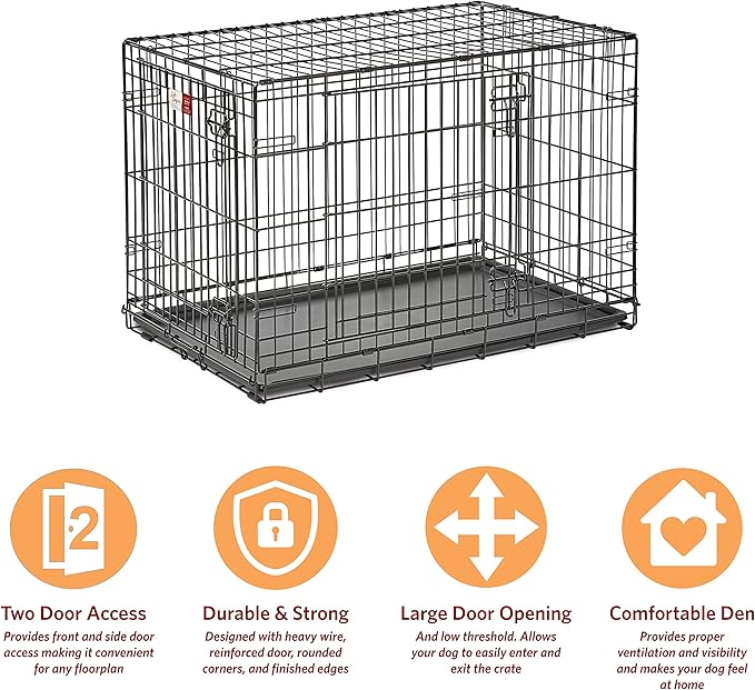 MidWest Homes for Pets Intermediate LifeStages Double Door 36-Inch Folding Dog Crate, Enhanced Security, Includes Leak-Proof Pan, Divider Panel, Handle, Rubber Feet