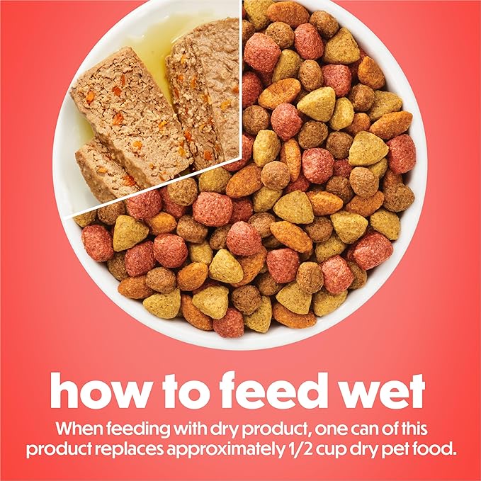 Purina Beneful with Real Chicken and Carrots Wet Dog Food Loaf - 5.5 oz Can (Pack of 12)
