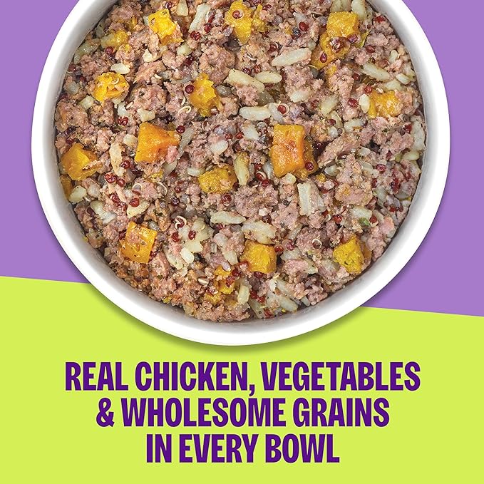 Wellness Protein Bowls Adult Wet Dog Food, Fresh Alternative, Wholesome Grains, Natural, Chicken, Quinoa, and Pumpkin Recipe, 6.2 oz, Pack of 6 Pouches