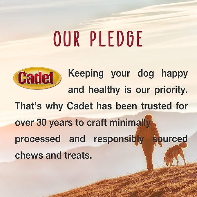 Cadet Premium Grade Rawhide for Dogs, Long-Lasting Munchy Sticks, Single-Ingredient Dog Chews, Chicken Flavor, 5-Inch, 100 Count