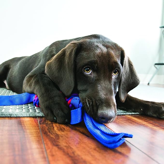 Kong Tugga Wubba - Ballistic Nylon Tough Toy for Tugging and Fetch - Small