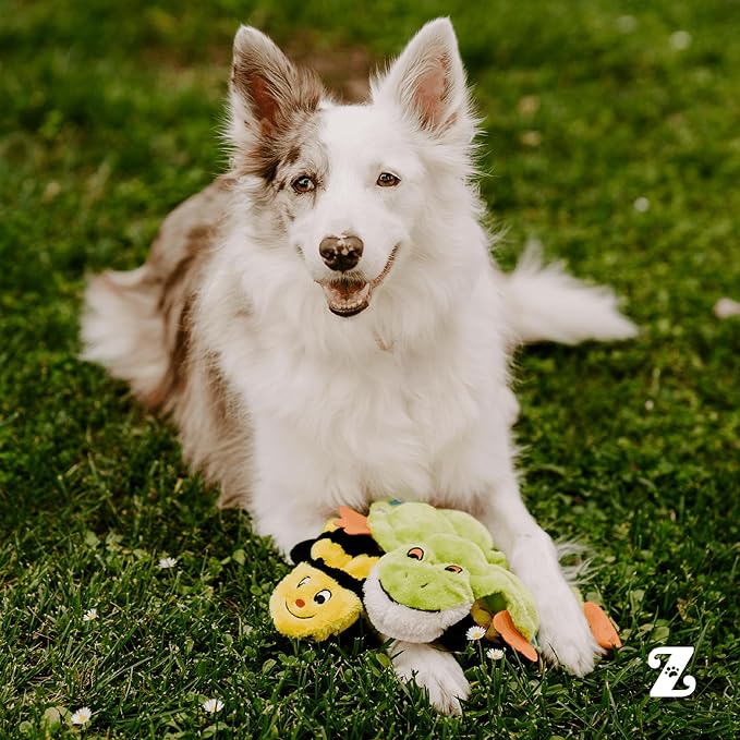 ZippyPaws Squeakie Crawler- No Stuffing Dog Toy to Keep Them Busy, for Small, Medium, & Large Dogs, Squeaky Pet Toy for Boredom, Unstuffed Chew Toy, Soft Plush Puppy Products, Toby the Tree Frog- 11"