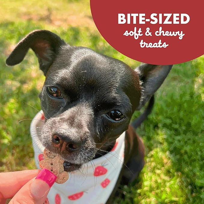 Buddy Biscuits Softies Soft & Chewy Grain Free Dog Treats, Beef, 5 oz. Pouch