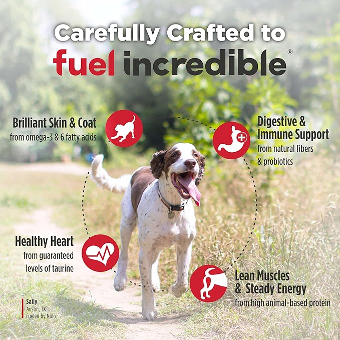Nulo FreeStyle Senior Dry Dog Food - Trout & Sweet Potato, High Protein Grain Free Dog Food, Kibble with Probiotics, Glucosamine, Chondroitin, Hip and Joint Support, Small, Medium, Large Breeds, 6lb