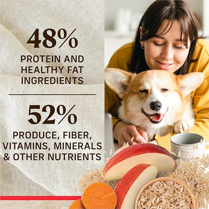 Merrick Healthy Grains Premium Adult Dry Dog Food, Wholesome And Natural Kibble With Beef And Brown Rice - 4.0 lb. Bag
