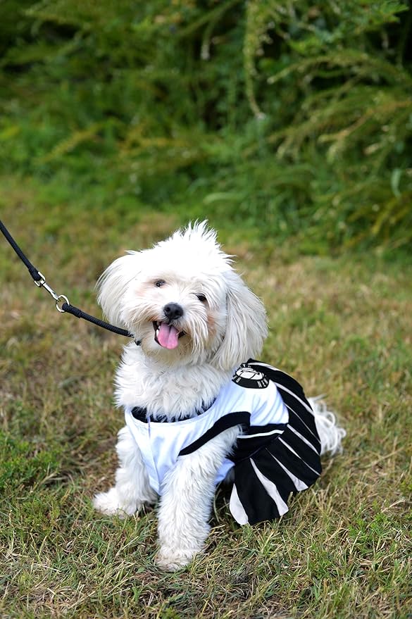 Pets First NBA Brooklyn Nets Cheerleader Dress, Small