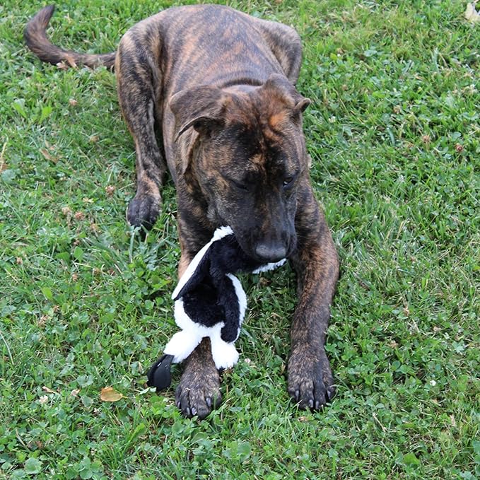 SPOT Skinneeez Stuffing Free Arctic Animal Dog Toy - with Squeaker in Head and Tail, Stuffingless Design is Great for Moderate Chewers, Tug Toy for Small Puppies & Dogs - 15in, Assorted Styles, 1 Toy