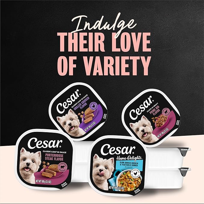 Cesar Home Delights Adult Wet Dog Food, Grilled New York Strip Flavor with Vegetables in Sauce, 3.5 oz. Easy Peel Dog Food Tray, 24 Count (Pack of 1)