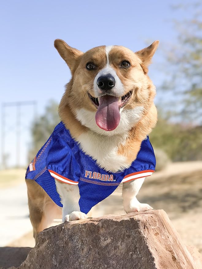 Pets First NCAA College Florida Gators Mesh Jersey for DOGS & CATS, X-Small.Licensed Dog Jersey with your Favorite Football/Basketball College Team