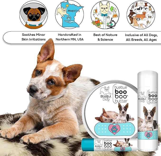 The Blissful Dog BB-AUSCAT-16OZ Schnauzer Boo Butter