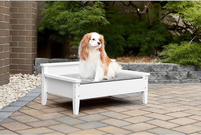 Wooden Dog Bed with Water-Resistant Mattress, Small to Medium Elevated Pet Bed with Calming Pet Mattress, Greenguard Gold Certified, Modern Dog Couch, Winston - TailZzz