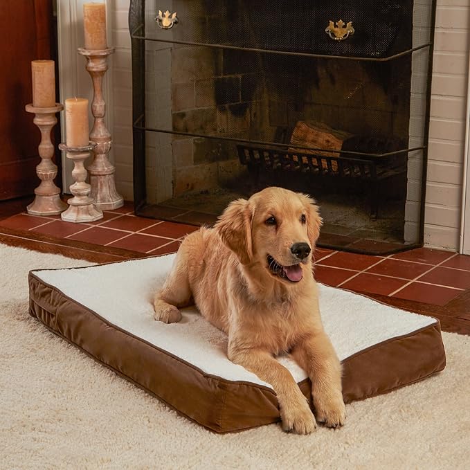 Happy Hounds Oscar Rectangle Orthopedic Foam Sherpa Dog Bed, Small (36 x 24 in.), Mocha