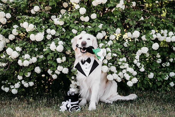 ZippyPaws Wedding Dog Toys - Wedding Ring Box Burrow, Gifts for Dog Couples, Fun Dog Engagement Toys for Photos, Rehearsals, After-Parties, and Wedding Gifts