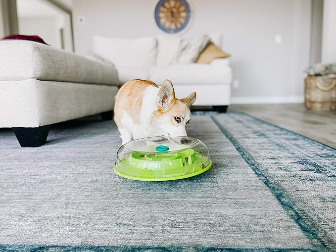 Outward Hound by Nina Ottosson Wobble Bowl Slow Feeder Dog Puzzle, Level 1 Beginner, 11.6 inches x 3.5 inches, Multicolored