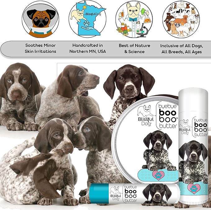 The Blissful Dog BB-GSP-16OZ German Shorthaired Pointer Boo Butter, 16 oz.