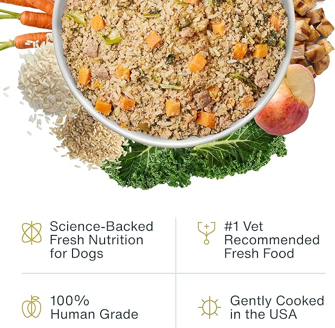 JustFoodForDogs Pantry Fresh Wet Dog Food,Complete Meal or Dog Food Topper,Chicken & White Rice Human Grade-Dog-Food Recipe - 12.5 oz,(Pack of 24)