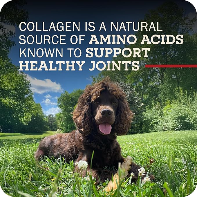 Redbarn Pet Products Redbarn Natural 12" Beef Collagen Braids - Case of 20 Sticks - Long Lasting Low-Odor Alternative to Rawhide & Bully Sticks -Single Ingredient Chew for Medium Large Dogs