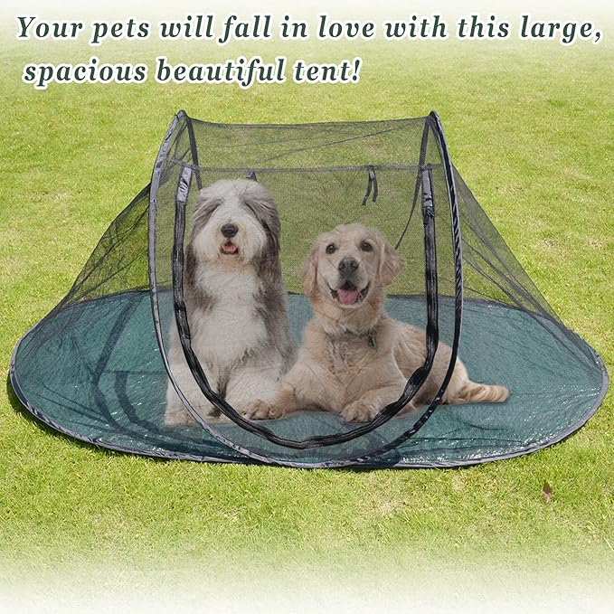 Pet Fun House Cat Dog Playpen Feline Funhouse Portable Exercise Tent with Carry Bag