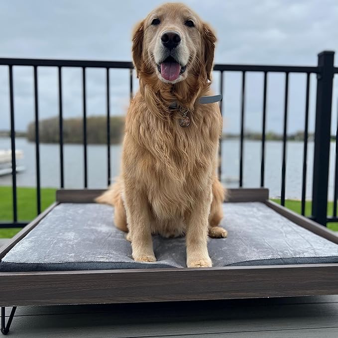 Wooden Dog Bed and Dog Couch with Water-Resistant and Calming Mattress, Large to Extra Large Elevated Pet Bed, Greenguard Gold Certified, Dog Beds & Furniture, Chase - TailZzz