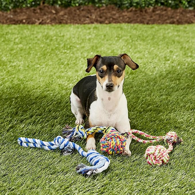 Otterly Pets Small Puppy Dog Rope Toys for Play Chew Teething and Boredom - for Small and Toy Dogs (6-Pack)