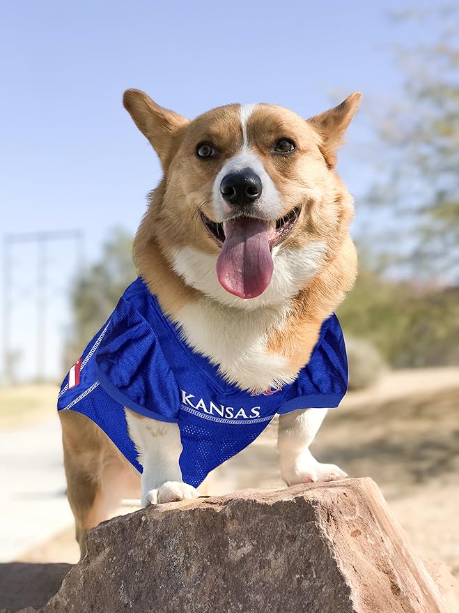 NCAA College University of Kansas Jayhawks Mesh Jersey for Dogs & Cats, Large. Licensed Big Dog Jersey with Your Favorite Football/Basketball College Team (Pack of 2)