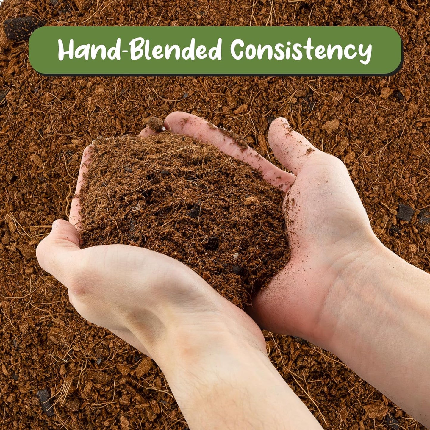 Terrarium Potting Soil Mix (4 Quarts), w/Blended Filtering Charcoal Custom Made for Terrariums