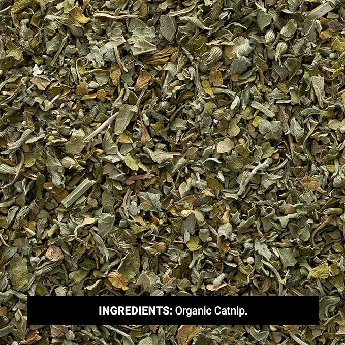 Frontier Co-op Organic Catnip, 1-Pound Bulk, Loved By Cats & Gardeners, Popular Tea Blend, Organic, Kosher