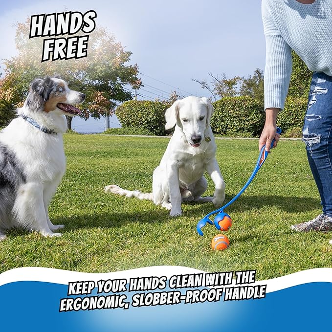 Chuckit! The Duo 22M Double Launcher Dog Toy, 22" Length, Includes 2 Medium Tennis Balls (2.5") Size Medium for Breeds 20-60lbs, for Multi-Dog and Pack Play, Launches Two Balls at Once
