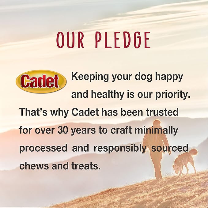Cadet Gourmet Shish Kabob Dog Chews for Large Dogs, Rawhide Treats with Chicken and Sweet Potato, Healthy & Natural Beef Hide, 10-Inch Sticks, 2 Count