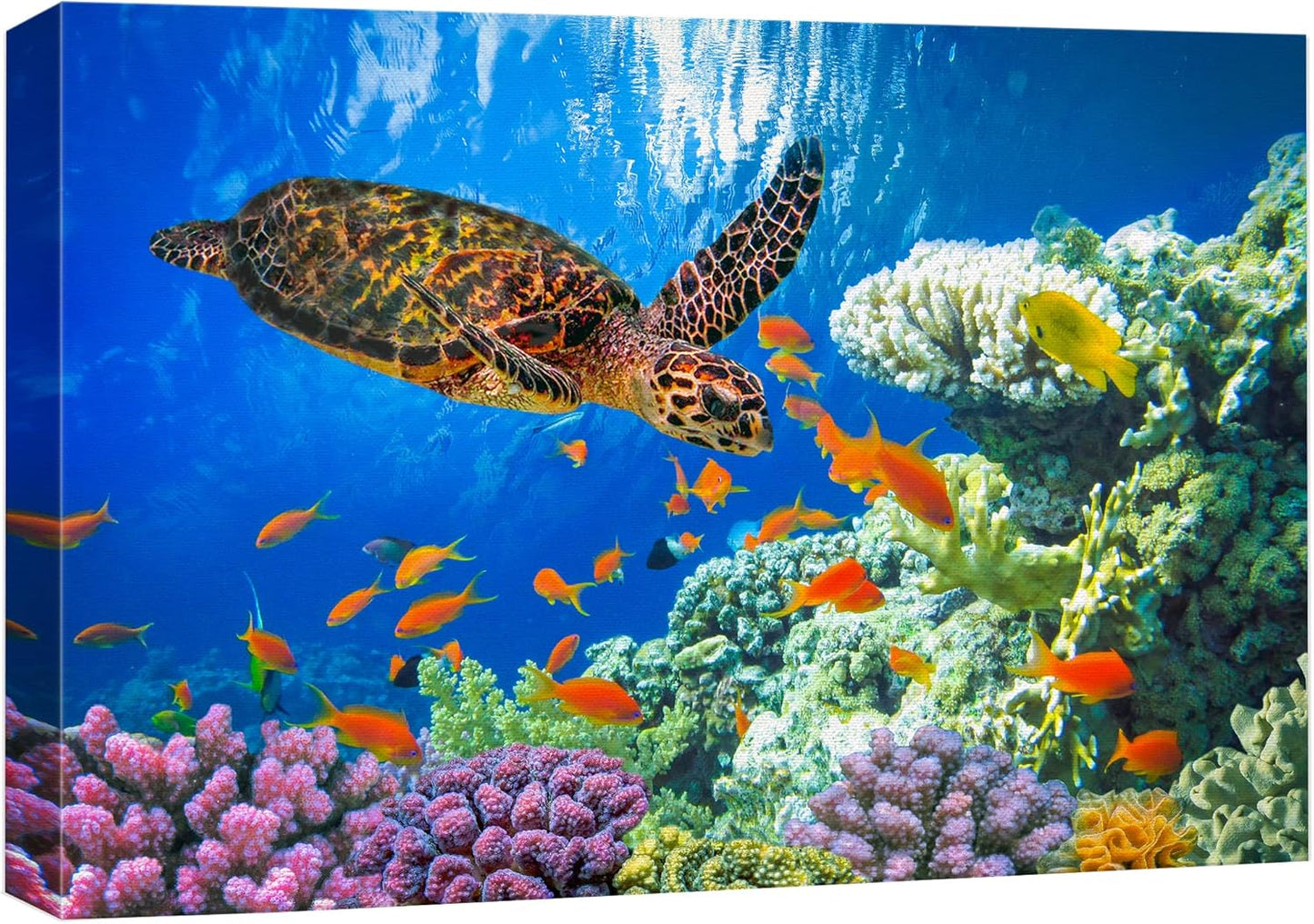 wall26 Canvas Print Wall Art Vibrant Neon Underwater Turtle, Reef & Fish Nature Animals Photography Realism Rustic Scenic Landscape Wilderness Colorful for Living Room, Bedroom, Office - 16"x24"