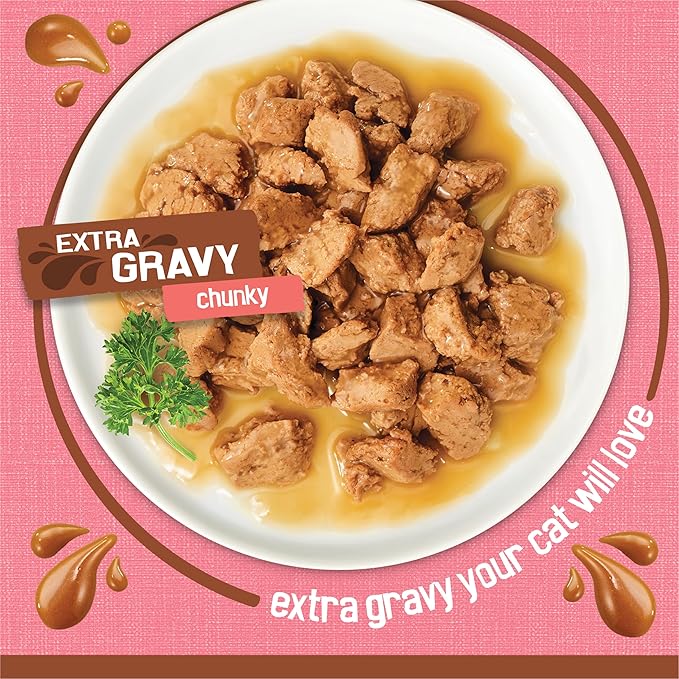 Friskies Purina Extra Gravy Wet Cat Food Chunky with Salmon in Savory Gravy - 5.5 oz. Cans,(Pack of 48)