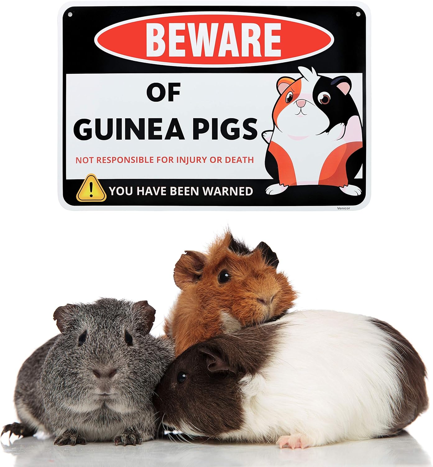 Venicor Guinea Pig Sign Decor - 8 x 12 Inches - Aluminum - Guinea Pig Gifts for Guinea Pig Lovers - Cage Accessories Toys Stickers Stuff