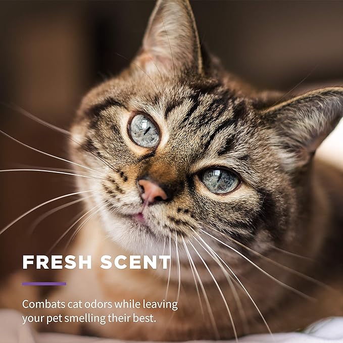 Wet Ones for Pets Freshening Multipurpose Cat Wipes with Aloe Vera, Fresh Scent - Easy to Use Cat Freshening and Grooming Wipes with Wet Lock Seal, 100 Count