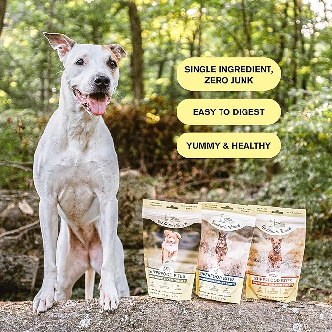 BADLANDS RANCH by Katherine Heigl – Superfood Bite Freeze-Dried Raw Chicken Breast Dog Treats – High Protein Single-Ingredient Snacks for Training, Rewards & Daily Wellness