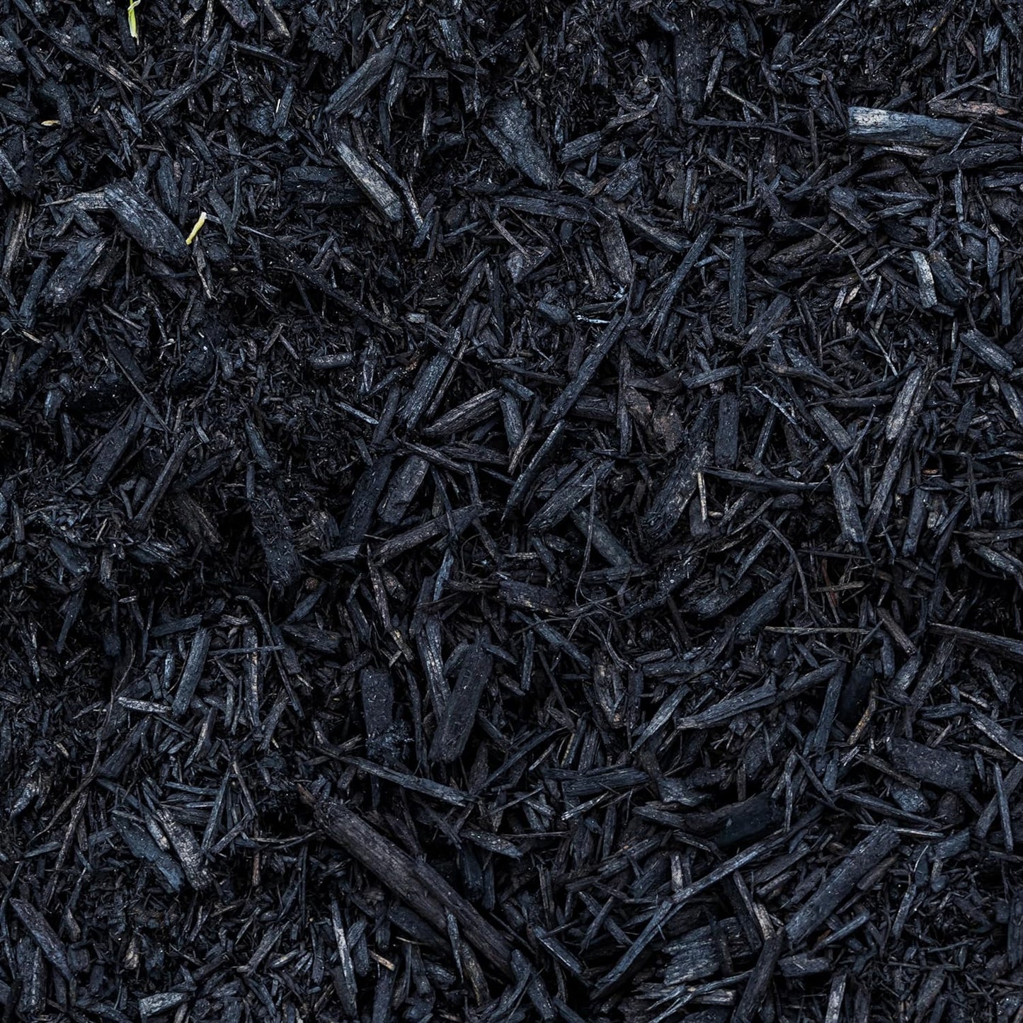 Premium Black Wood Mulch for Landscaping, Gardens, Lawns, Potting Media, and Potted Plants (0.2 CF - 4.8 L - 5 QTS)