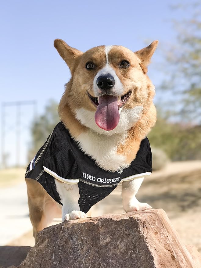 NFL NEW ORLEANS SAINTS DOG Jersey, Large