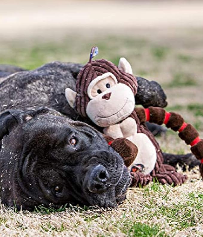 Charming Pet Thunda Tugga Cow Plush & Squeaky Dog Tug Toy (Pack of 2)