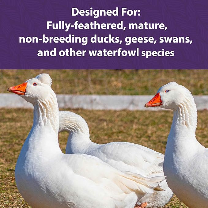 Mazuri Waterfowl Maintenance Food for Ducks & Geese | 5 Pound (5 LB) Bag